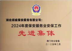 喜報(bào)！領(lǐng)威保安榮獲“2024年度保安服務(wù)業(yè)安保工
